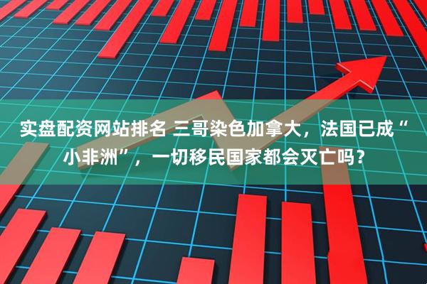 实盘配资网站排名 三哥染色加拿大，法国已成“小非洲”，一切移民国家都会灭亡吗？