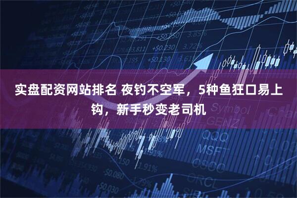 实盘配资网站排名 夜钓不空军，5种鱼狂口易上钩，新手秒变老司机